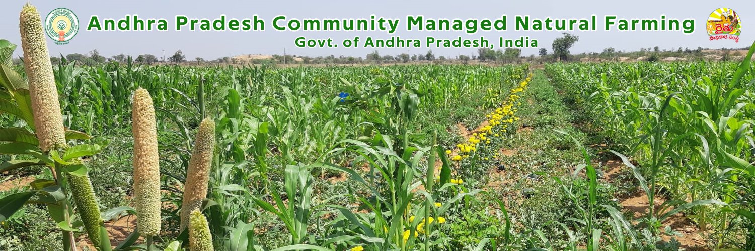 Andhra Pradesh Community-managed Natural Farming banner