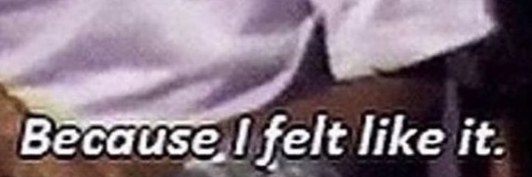 the book plug 📚 banner