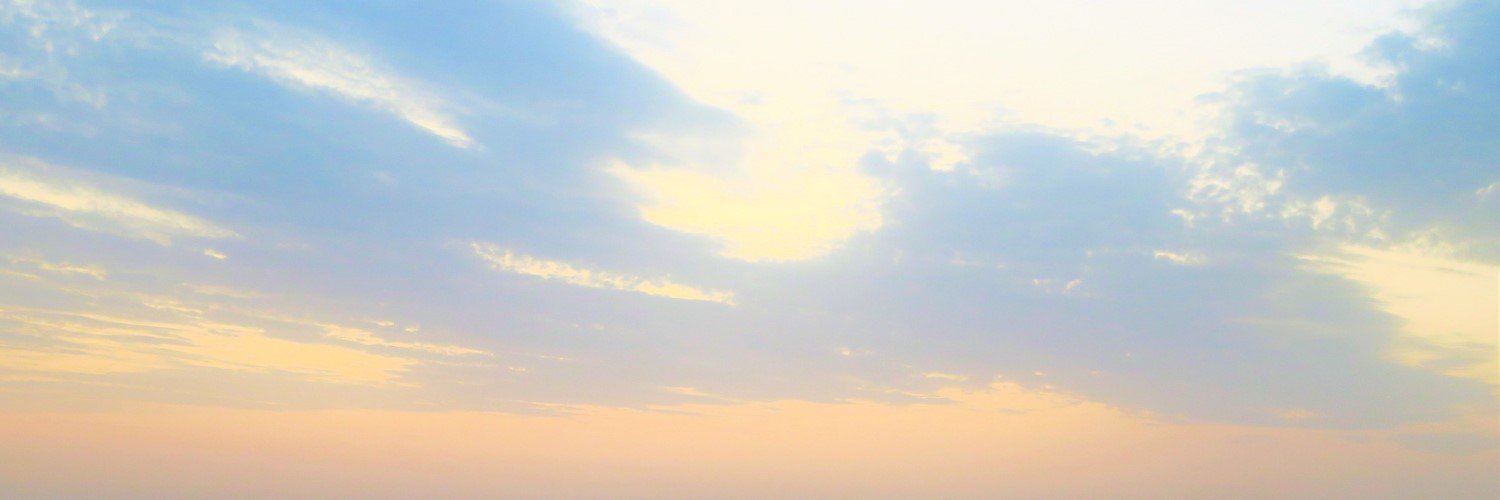 ryo banner