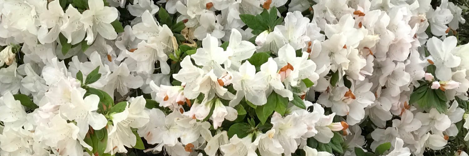 froqueeeen's profile banner image