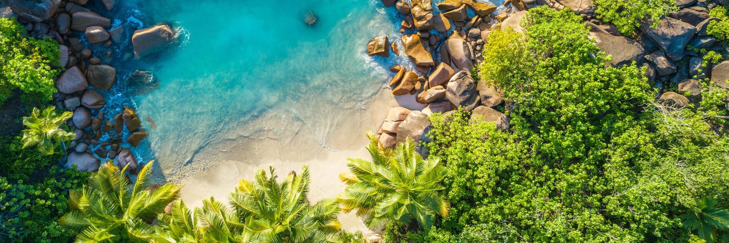 Tropicality Travel Tips banner