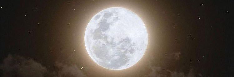 Leonorpis's profile banner image