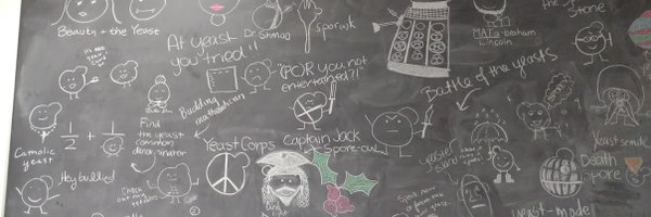 HittingerLab Profile Banner