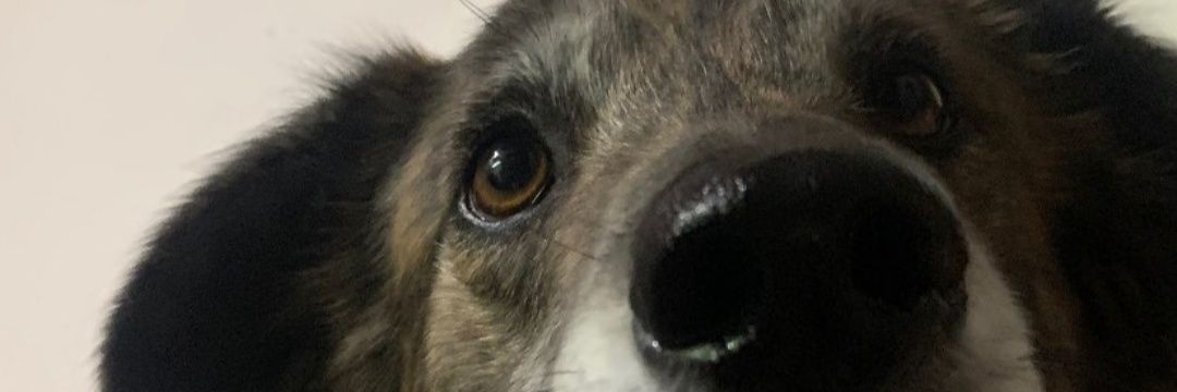 Privizcaino12's profile banner image