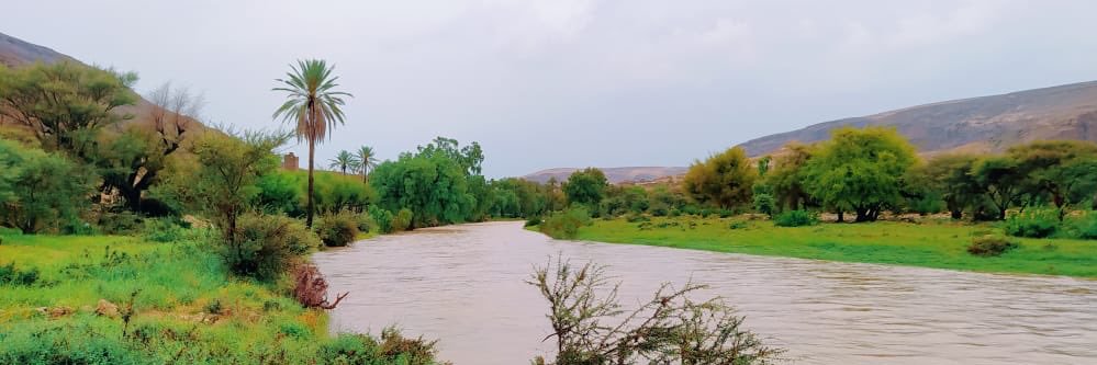Saeed41393's profile banner image