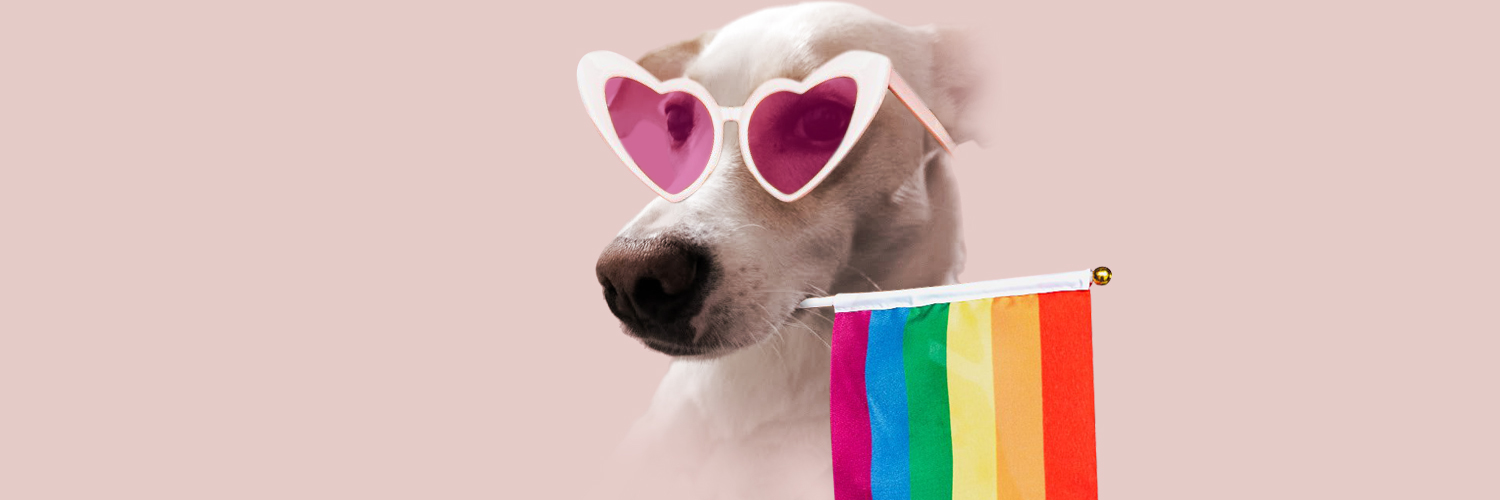 layoblancas's profile banner image