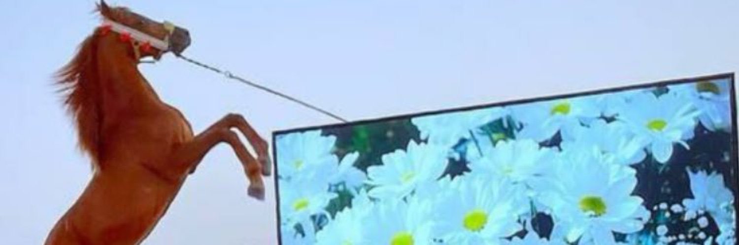 ضيف الشيباني banner