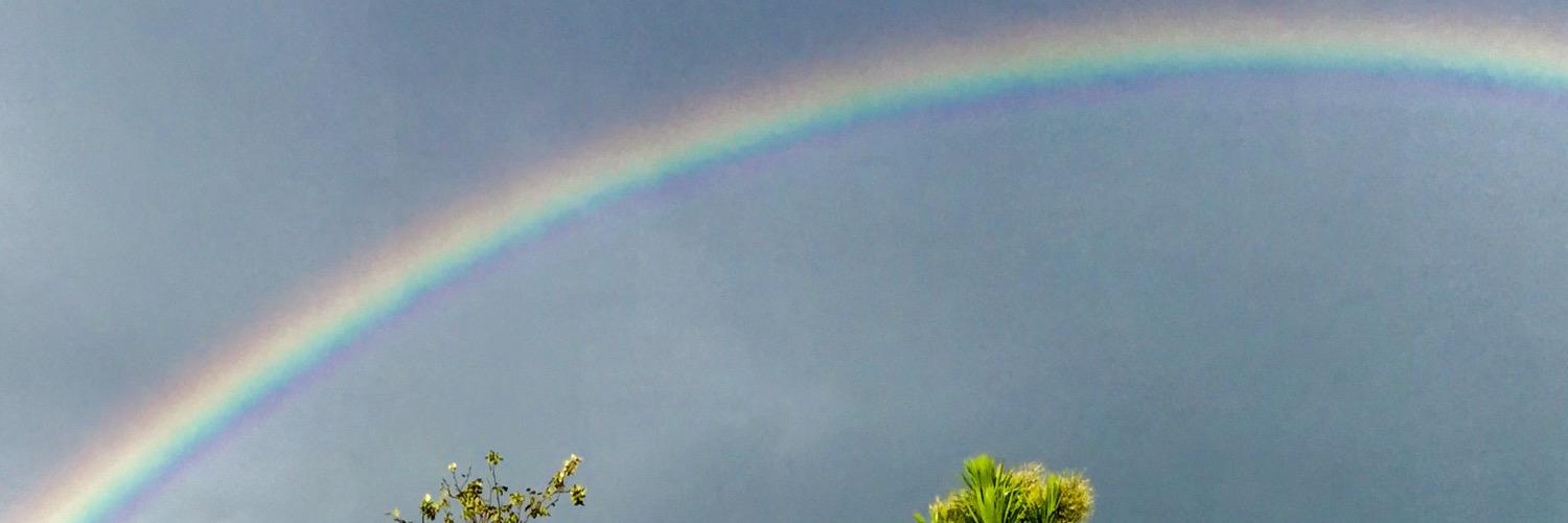 muzzi731's profile banner image