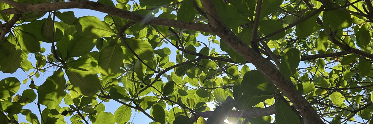 omaralonsoo's profile banner image
