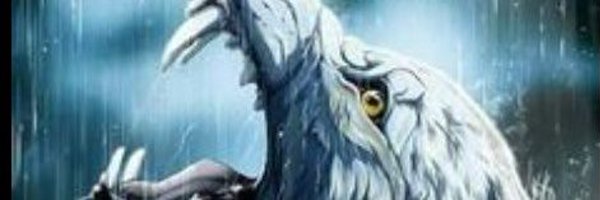 zoonpolitikn2 Profile Banner