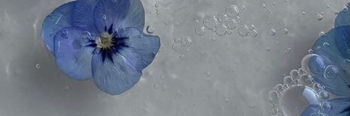 FlorBogado4's profile banner image