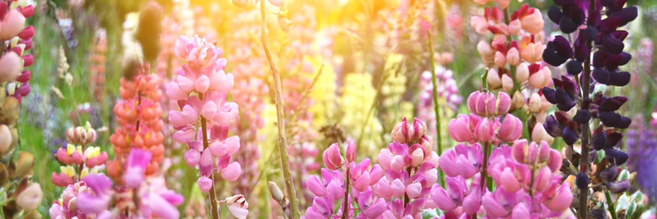 IndiaGaythwaite's profile banner image