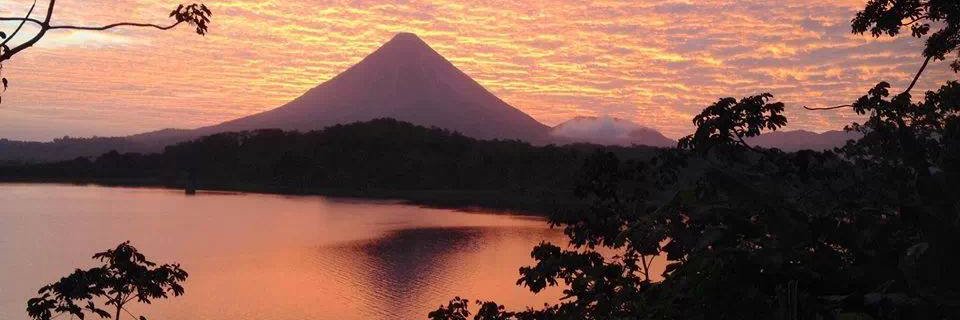 David Forester banner