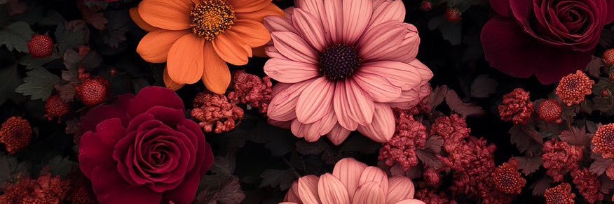 DalySkogs's profile banner image