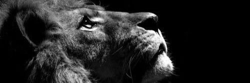diegosilvanooo's profile banner image