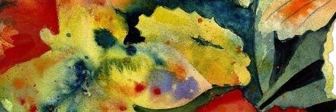 n a n a d banner