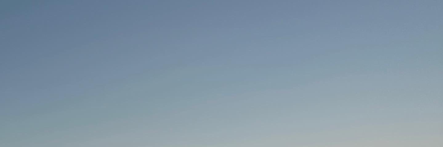 lycheepeachyhoe's profile banner image