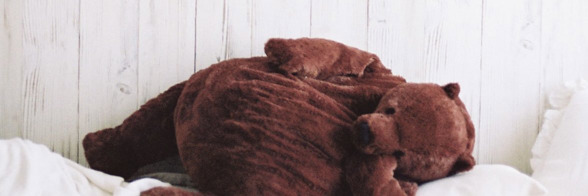 sho5miko7's profile banner image