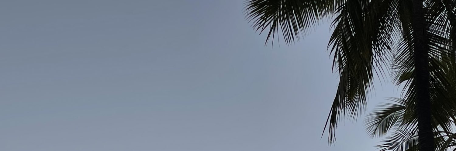 JonalyneJoy's profile banner image