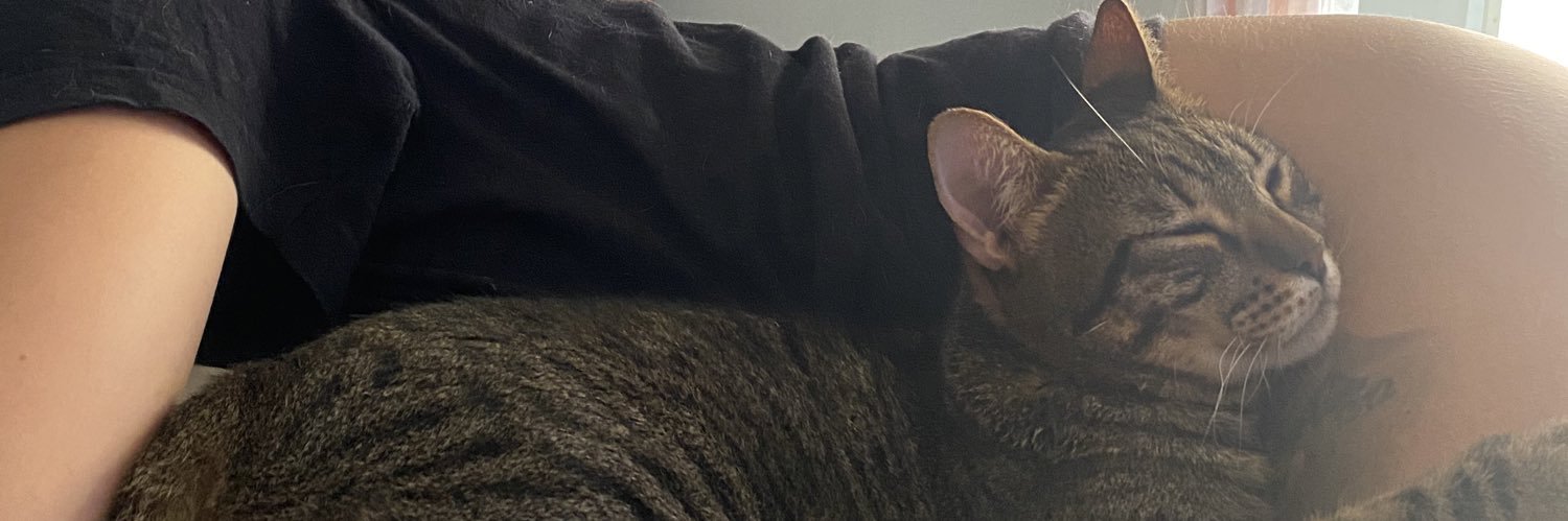 lessiee1312's profile banner image