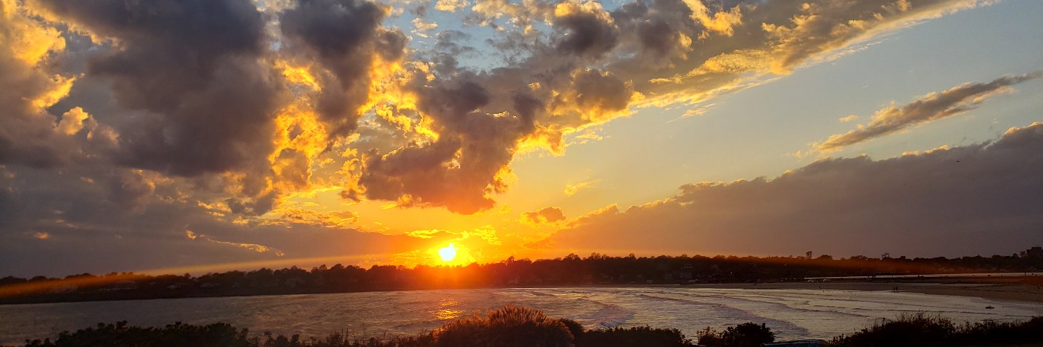 Chris Requena banner