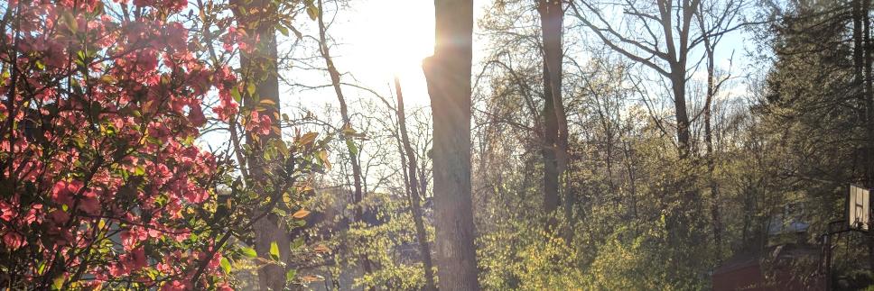 MaryBeth_Bognar's profile banner image