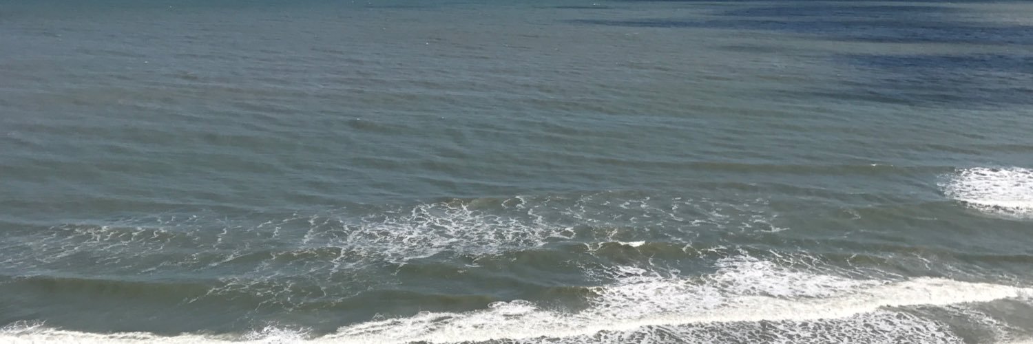 TeriKayeRoberts's profile banner image