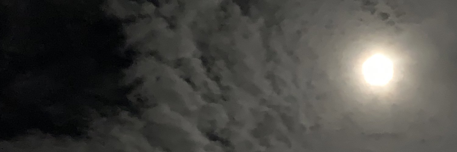 SKY QUIZON ☁️🕷 banner