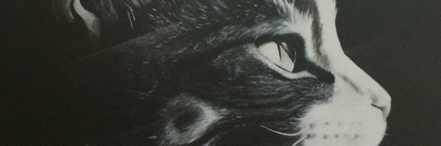 Rlangel1's profile banner image