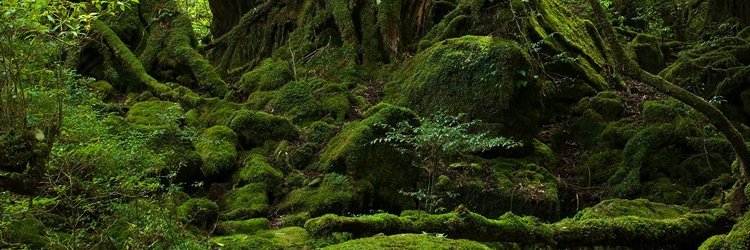 JesusSanchrez's profile banner image