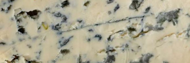 bluecheesemon's profile banner image