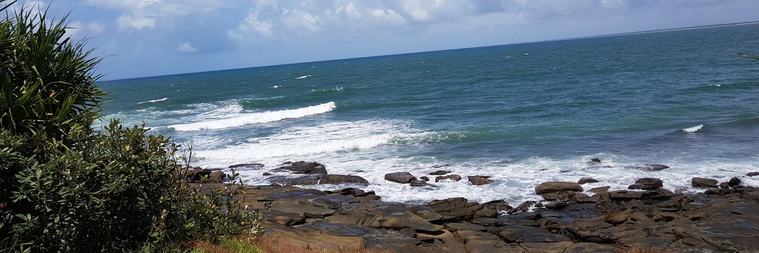 Cows95's profile banner image