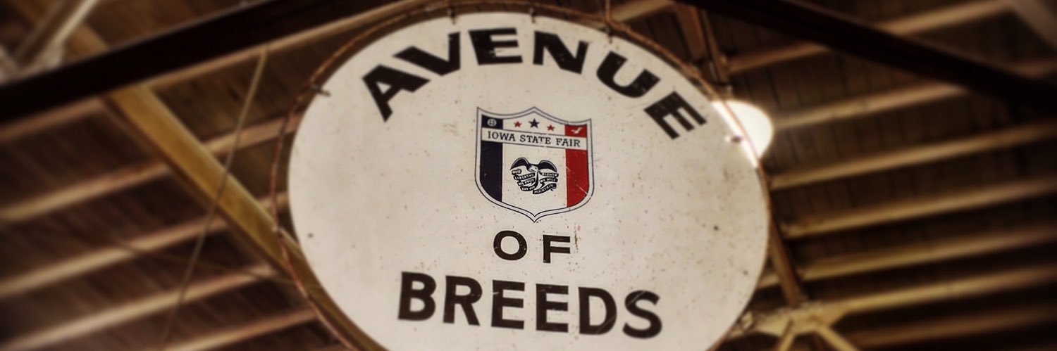 bdclements's profile banner image