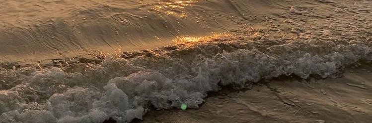 _Yan55's profile banner image