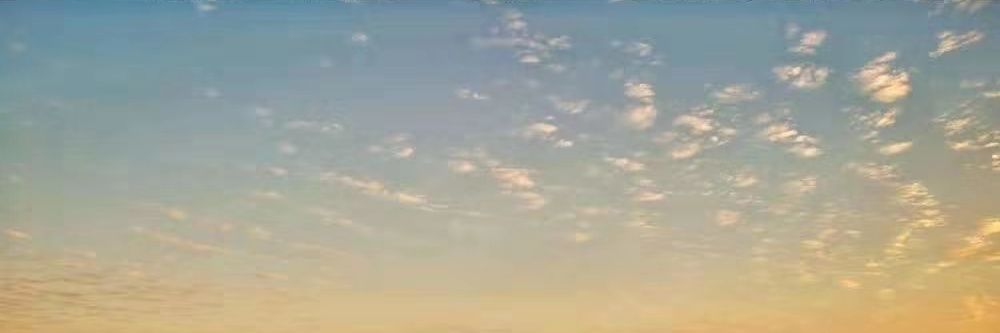 Miku Lee banner