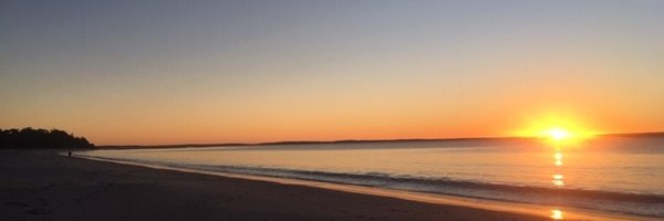 Mel_Pill Profile Banner