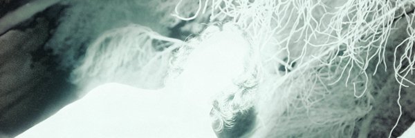 silcrow Profile Banner