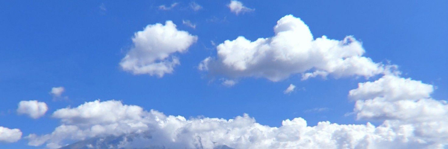 Bell banner