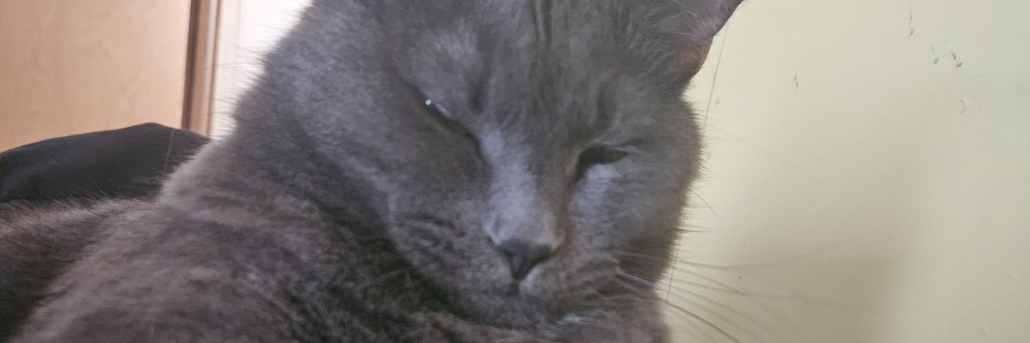 Lady Snugglebug banner