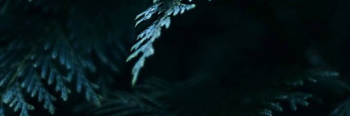 03 banner