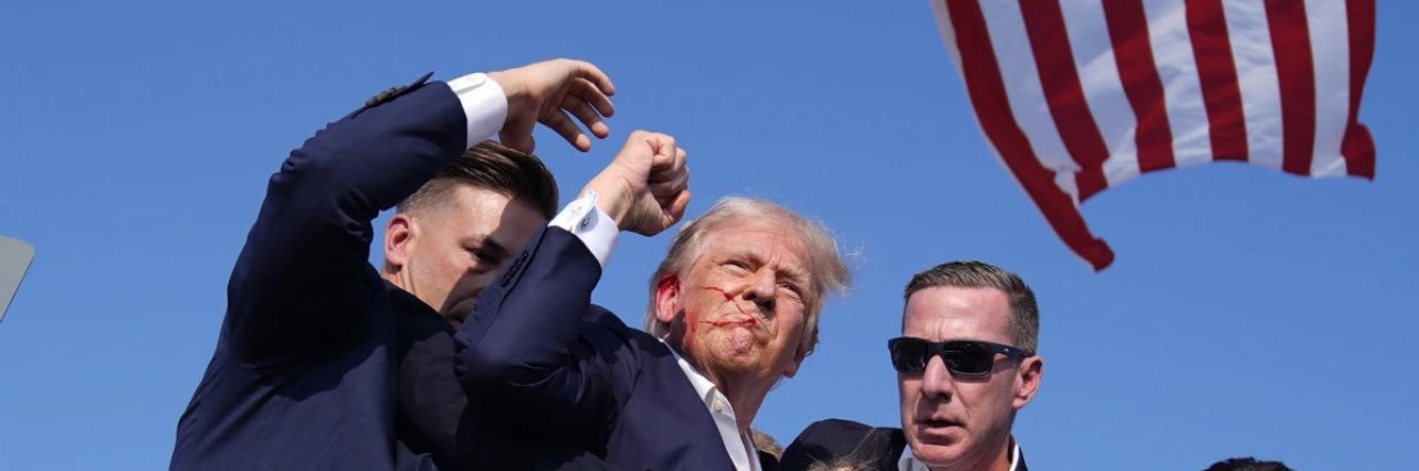 Everything is stupid banner