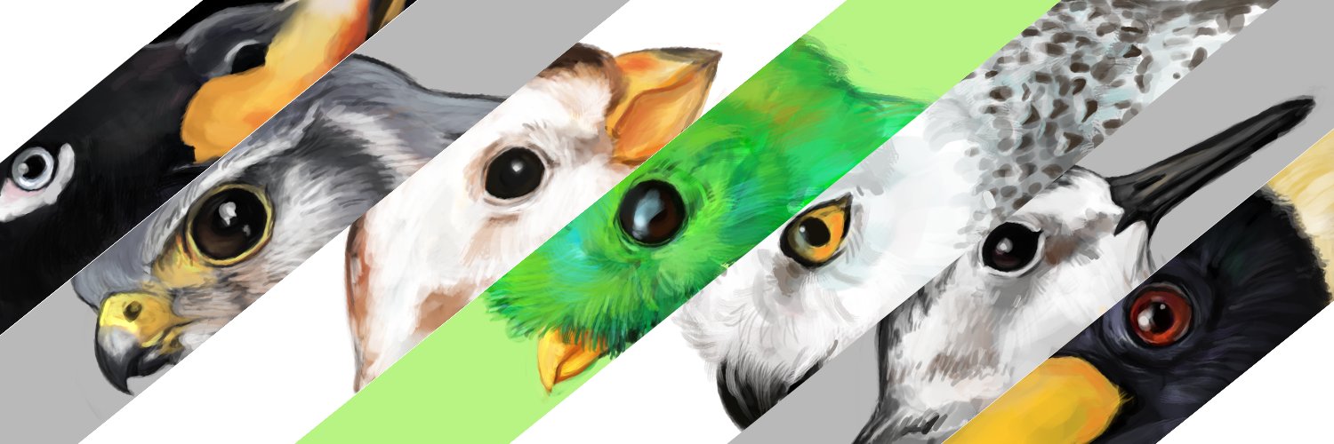 Alex Holt banner