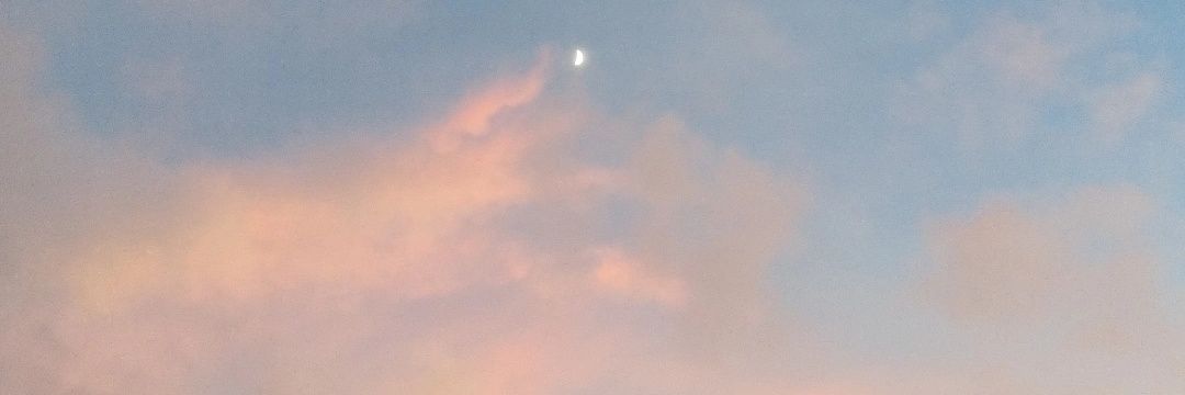m_wumu's profile banner image