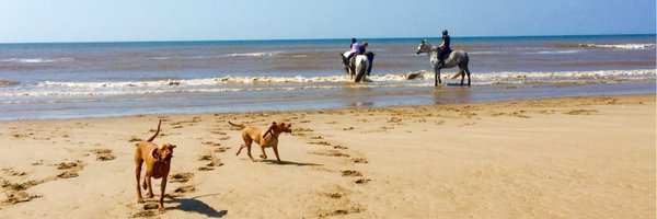 chrisMits Profile Banner