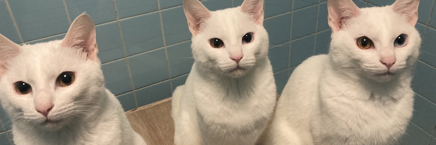 ⚜MARSHAL⚜ banner