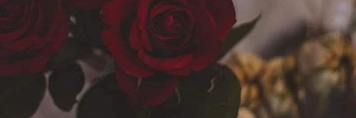 shoojee86's profile banner image
