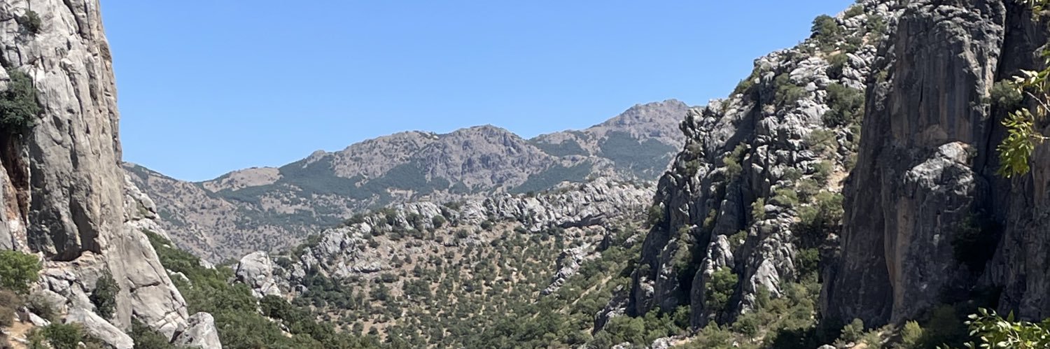 mhmtrtii's profile banner image