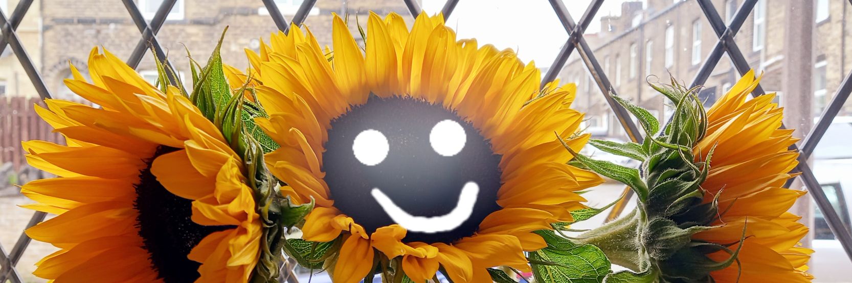 Jules Barraclough banner