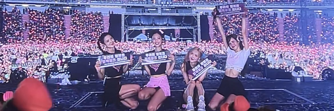 데이지🎀 banner