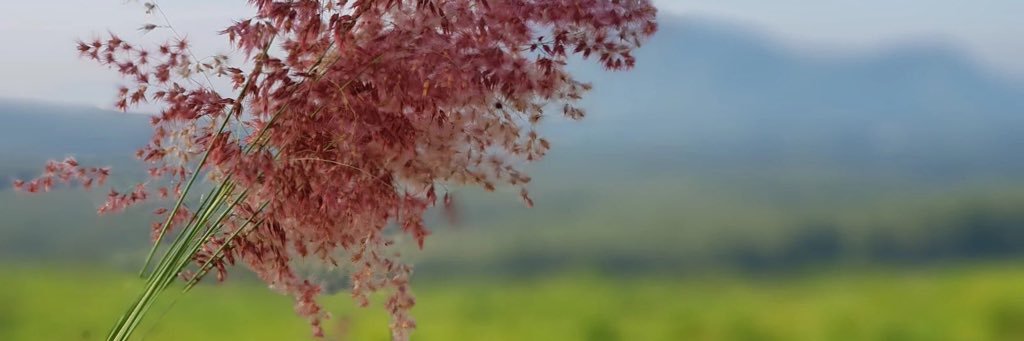 MayJanjira4's profile banner image